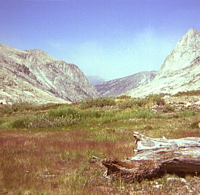 s77-2-13.jpg (48753 bytes)