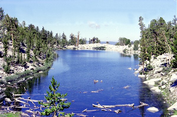 s78-1-18.jpg (88520 bytes)