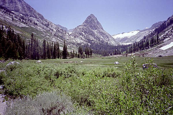 s86-2-21.jpg (99772 bytes)