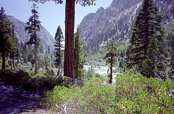 s86-4-19.jpg (71131 bytes)