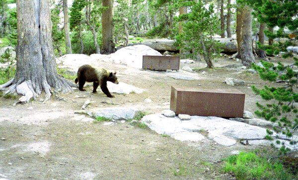 s92-1-12.jpg (83384 bytes)