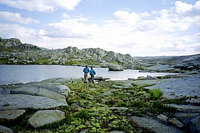 s92-1-22.jpg (38247 bytes)