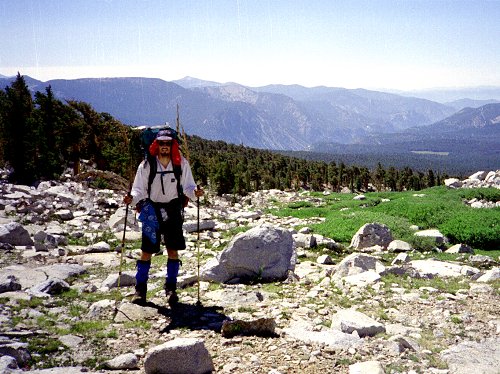 Along Chagoopa Creek