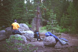 s98-1-06.jpg (21608 bytes)