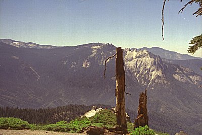 s98-1-12.jpg (29641 bytes)