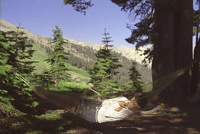 s98-2-00.jpg (33432 bytes)