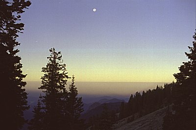 s98-2-04.jpg (20125 bytes)