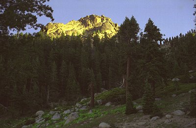 s98-2-05.jpg (27235 bytes)