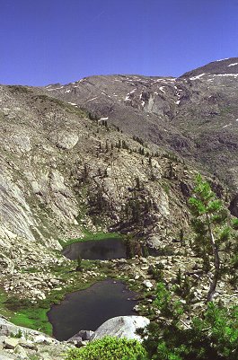 s98-2-10.jpg (45214 bytes)