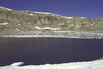 s98-2-11.jpg (25961 bytes)