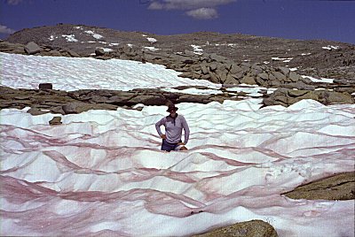 s98-2-28.jpg (38739 bytes)