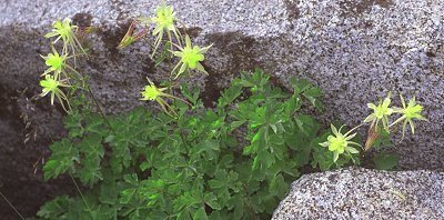 s98-3-04.jpg (35304 bytes)