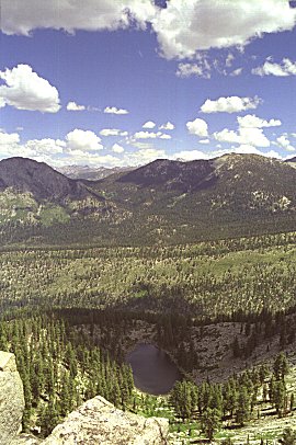 s98-3-34.jpg (52624 bytes)