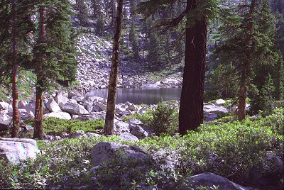 s98-3-34.jpg (52624 bytes)