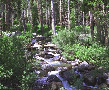 s98-4-14.jpg (50824 bytes)