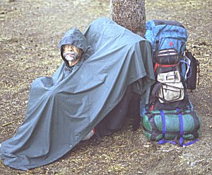 s98-4-19.jpg (30616 bytes)