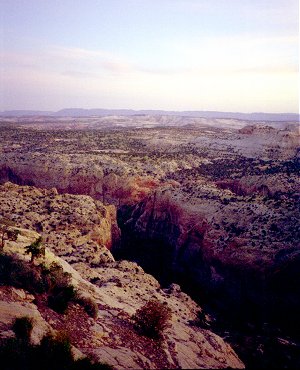 Round Valley Draw -- Above