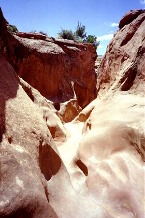 Upper Coyote Gulch