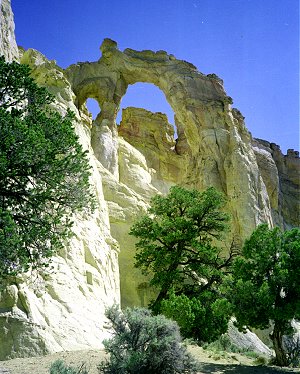 Grosvenor Arch
